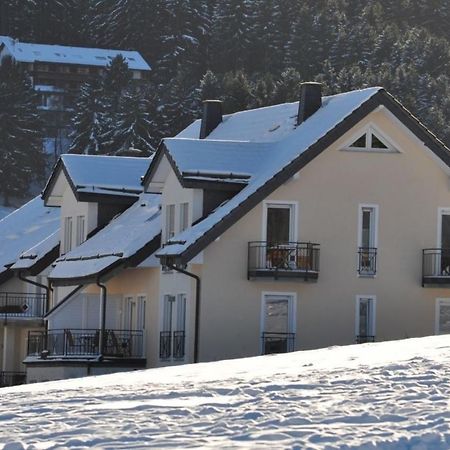 Appartement Die Grosszuegige à Willingen  Extérieur photo