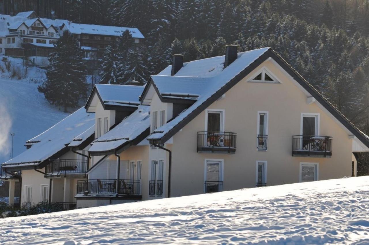 Appartement Die Grosszuegige à Willingen  Extérieur photo